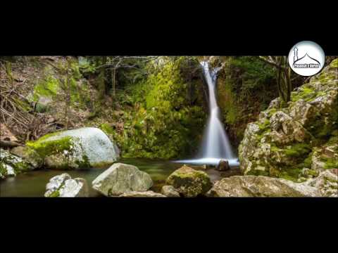 Shikimi i fytyres se Allahut (emocionale) hoxhe Sadullah Bajrami