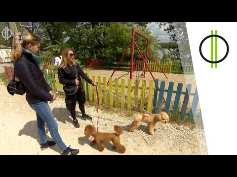 Koordinátám – Judy