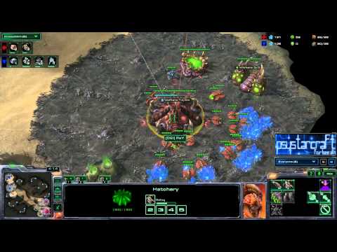 HotS - PsY vs Pain - ZvT