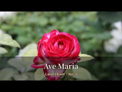 Ave Maria (Latin Chant No. 3) | Catholic Prayer Music for Pr…