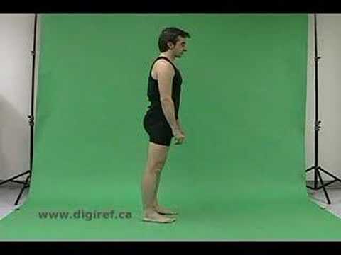 L-carnitine slimming pagtuturo manual Programa para sa taba burning exercise bike