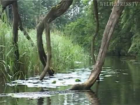 Masuren - ein Land zum Träumen