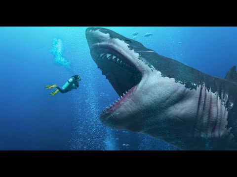 TOP 5 COOLEST PREHISTORIC SHARKS