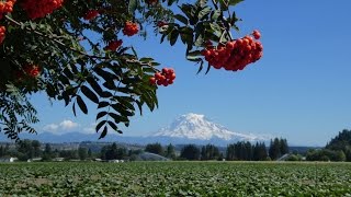 Sonya Kitchell - Here to There (HD) (11 of 17)