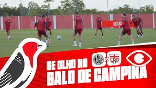 DE OLHO NO GALO DE CAMPINA - ASA X CRB