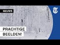 Sprookjesachtige sneeuwbeelden Zuid-Limburg