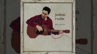 Joshua Radin - "Don't Let It Hurt You" (Official Audio)