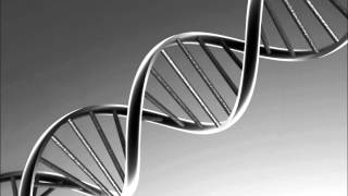 Rye Rye Feat. Porcelain Black - DNA (Prod. By RedOne) (CDQ) ( 2o12 ).wmv