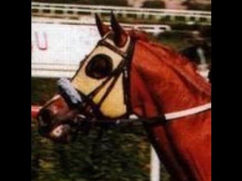 Yavuzhan Uzak Çekti