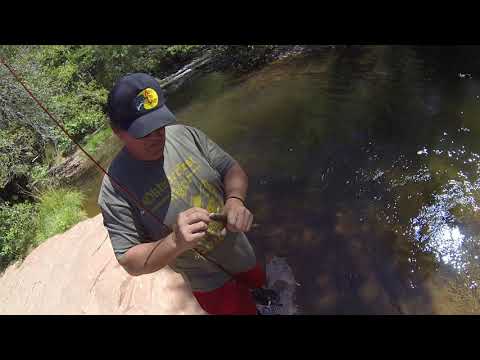 image-Is there fishing in Sedona?