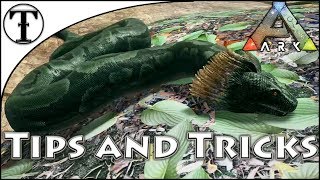 Fast Titanoboa Taming Guide :: Ark : Survival Evolved Tips and Tricks