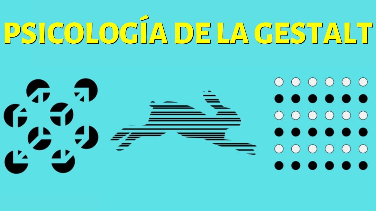 Putar video ¿Qué es la Psicología de la Gestalt Teoría y Leyes🧠 sekarang ¿Qué es la Psicología de la Gestalt Teoría y Leyes🧠