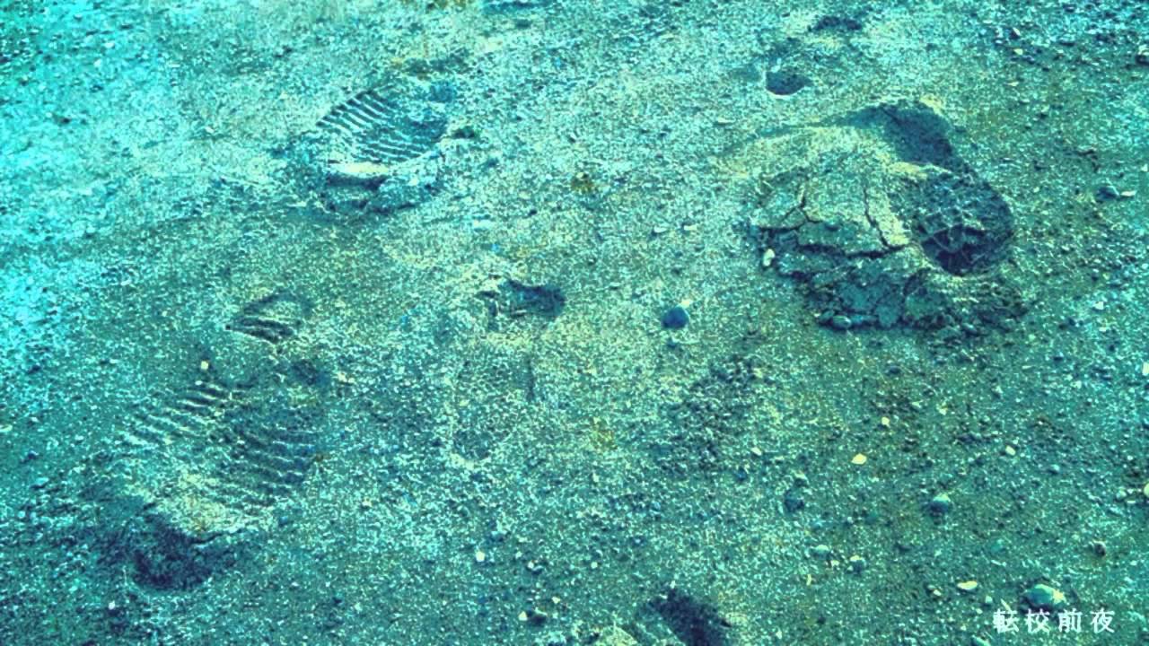 【初音ミク】転校前夜 [中文字幕]