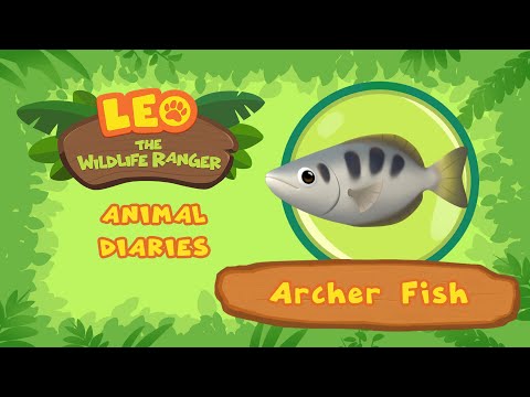 Witness21 Editor  2021 08 20