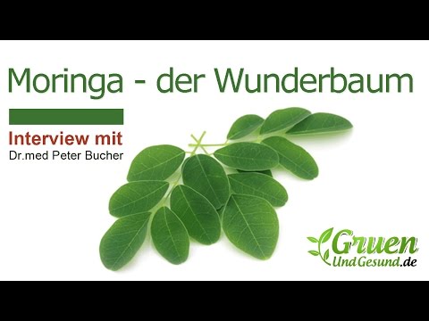 Moringa der Wunderbaum - Interview mit Dr.med Peter Bucher