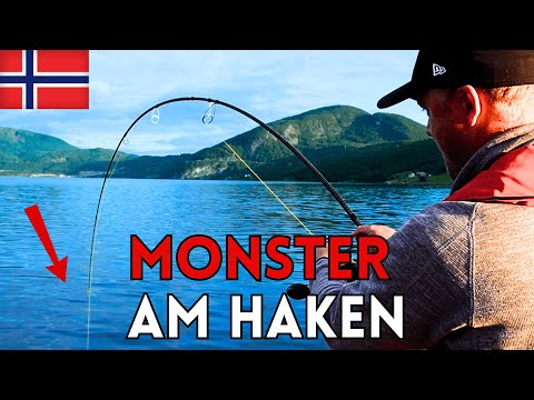 Am LIMIT: ANGELN in NORWEGEN auf XXL-HEILBUTT [Kriegen wir ihn?]