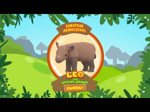 Witness21 Editor  2017 11 10