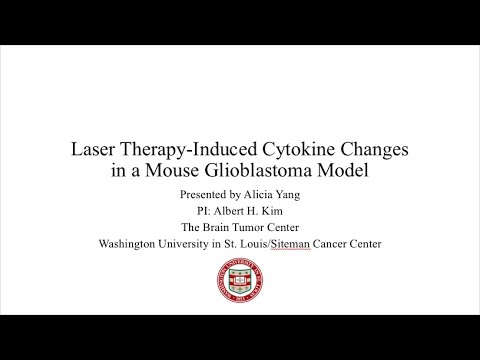 <p>Laser Therapy-Induced Cytokine Changes in a Mouse Glioblastoma Model</p>