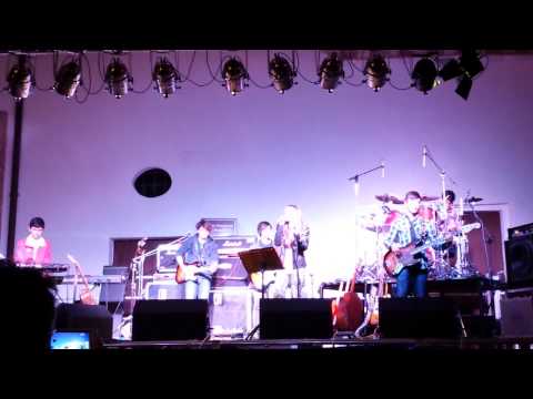 Swallows - You Shook me all night long