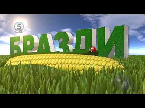 БРАЗДИ - 27.1.2018 - BRAZDI