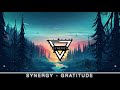 Synergy Gratitude