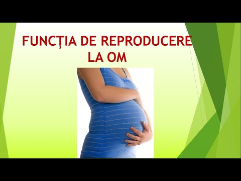 După introducere, erecția dispare, Disfunctia erectila