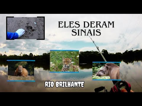 A despedida veio e olha o que encontrei!! 🐾🐾😱 Até breve Rio Brilhante!