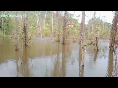 Akhirnya...Detik detik Terakhir .Kenak juga Kau