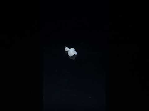 YouTube 썸네일