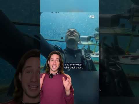The World’s First Underwater Greenhouses | Dw Documentary