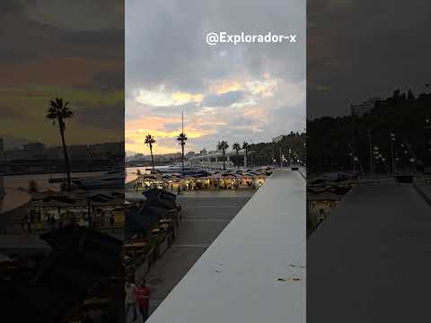 Málaga cumple diez años como ciudad de los museos
