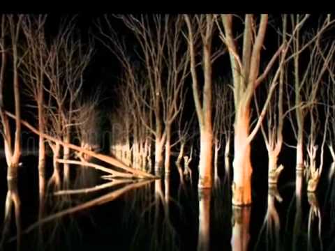 ceremonia durante la tormenta