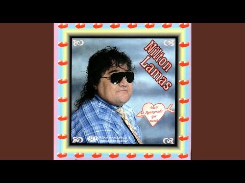 Não Se Bate Em Mulher