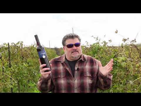 Badel 1862 2016 Mediterano (Croatian Wine)