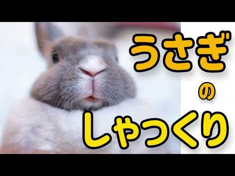 しゃっくり:原因は研究者によって発見されるかもしれない