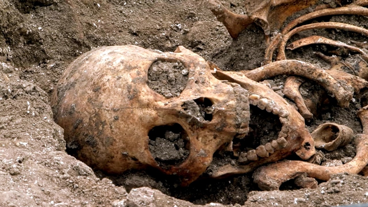 The Truth About the Templars