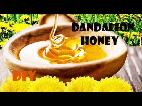 download lagu mp3 mp4 Dandelion Honey, download lagu Dandelion Honey gratis, unduh video klip Dandelion Honey