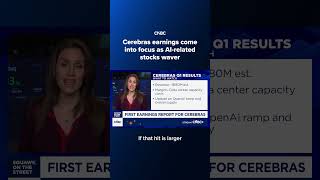 Cerebras earnings come into focus as AI-related stocks waver