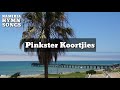 Pinkster Koortjies