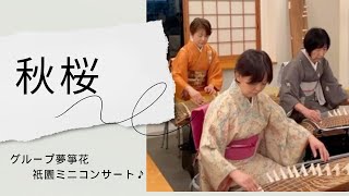 秋桜 - 箏/KOTO "Cosmos‘’