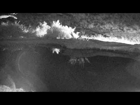 Djuma: Hosana-Pt:1 - 03:40 - 08/04/18