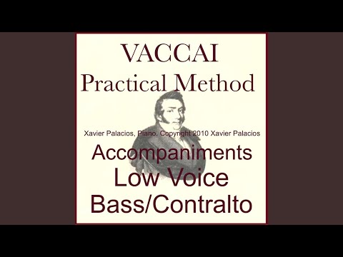 Lesson VII Runs and Scale Passages in E Major (Allegro)