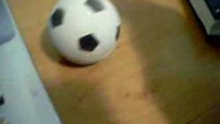preview picture of video 'Poking A Soccer Ball'