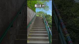 ハールブルク城に行ってみた#shorts