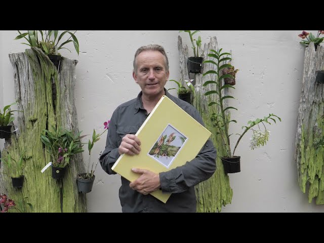 Vídeo relacionado con El Señor de las Orquídeas