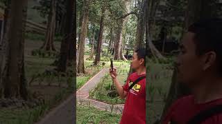 Download lagu Wisata Woodland  Kuningan Jawa Barat mp3