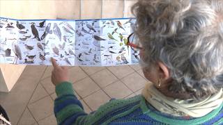 VOTV - Les Franqueses elabora una guia per descobrir els ocells del municipi