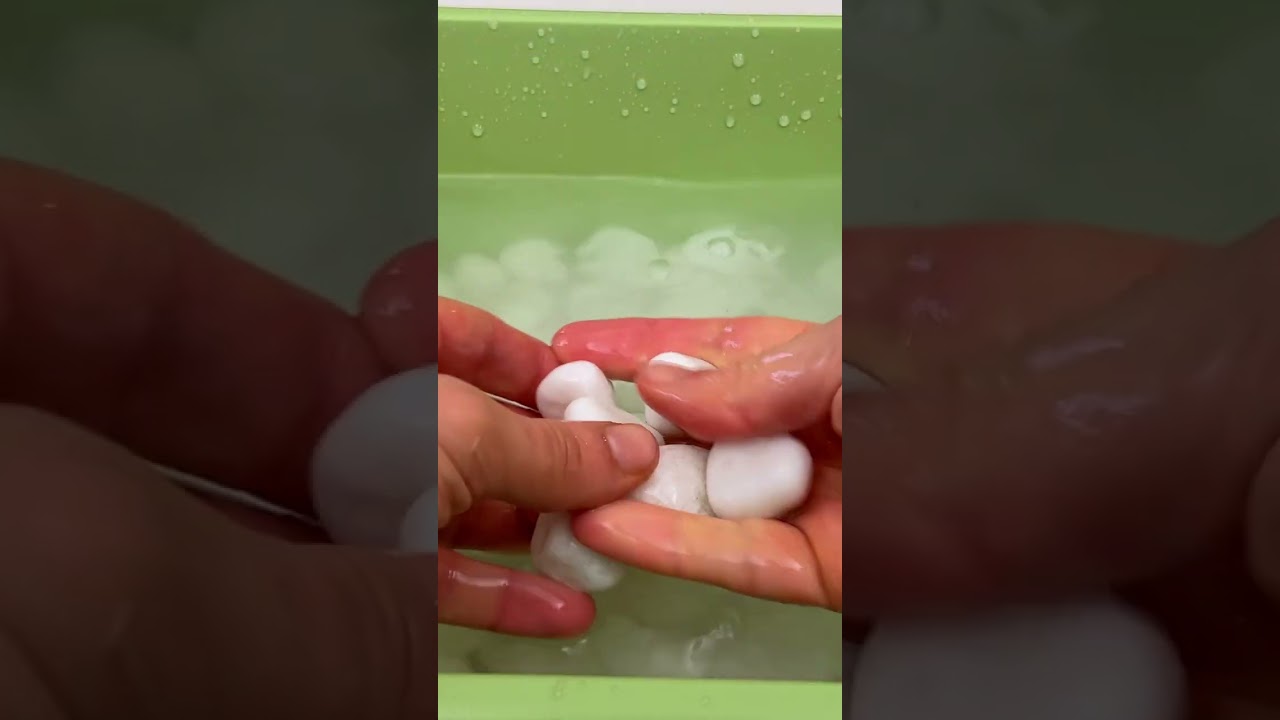 A Beautiful Plant Decor Showpiece