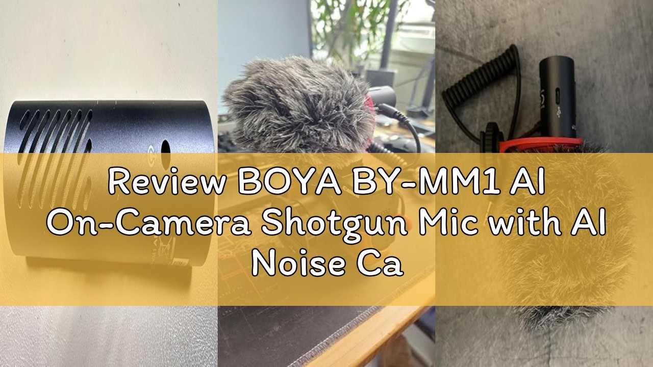 Review BOYA BY-MM1 AI On-Camera Shotgun Mic