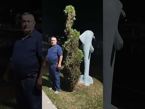 lago de Freitas Santana do itararé